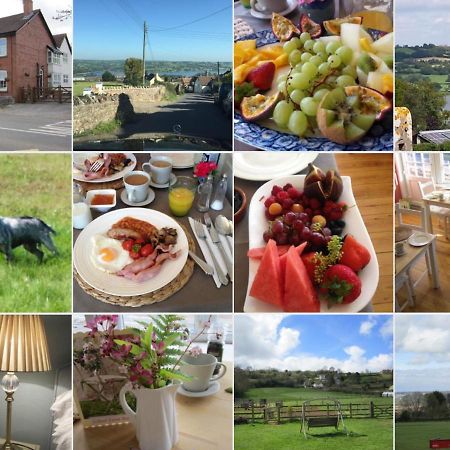 School Farm Bed and Breakfast Blagdon Eksteriør billede